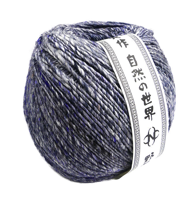 Noro Akari Solo - Izani (Color #24) - BIG 200 GRAM SKEINS – Little