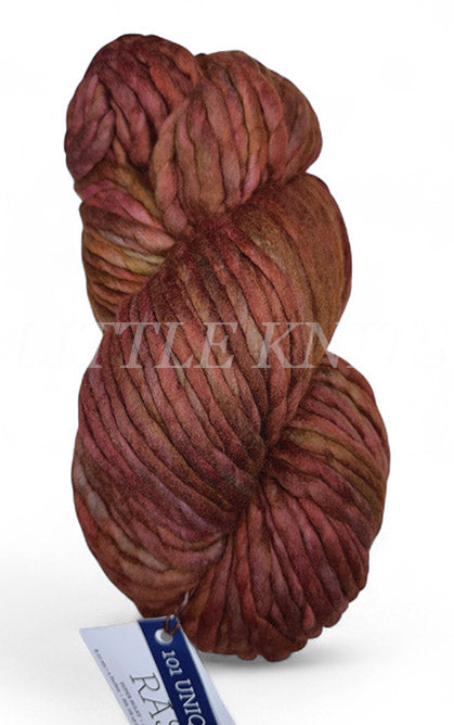 Malabrigo Rasta One of a Kind - Choco-Cinnamon Brew