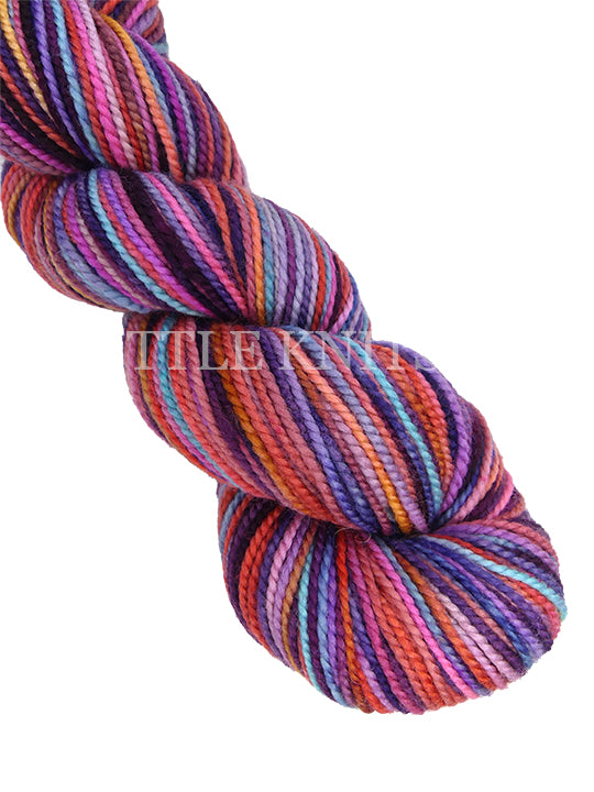Koigu KPPPM - Color #847 Lot 49