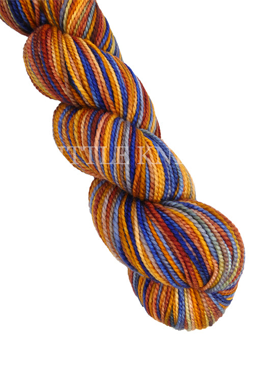 Koigu KPPPM - Color #900 Lot 203