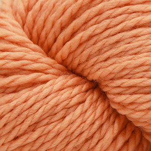 Cascade 128 Superwash - Peach Cobbler (Color #304) - Dye Lot 1904005