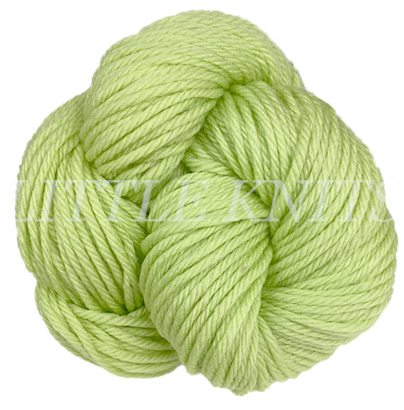 !Ella Rae Chunky Merino Superwash - Honeydew (Color #21)