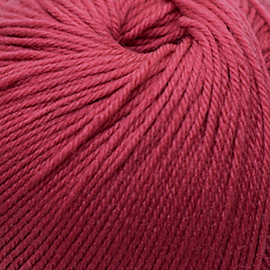 Cascade 220 Superwash - Chrysanthemum (Color #290) - Dye Lot 7K2778