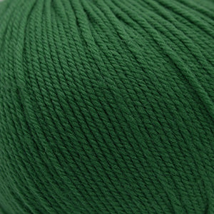 Cascade 220 Superwash - Verdant Green (Color #352) - Dye Lot 7I4679