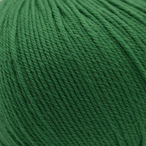 Cascade 220 Superwash - Verdant Green (Color #352) - Dye Lot 7K8916