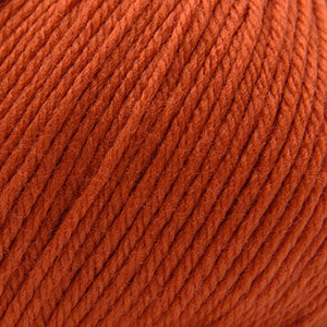 Cascade 220 Superwash - Pureed Pumpkin (Color #366) - Dye Lot 7K5687