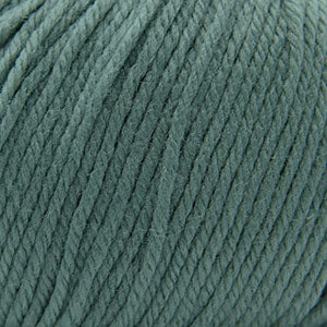 Cascade 220 Superwash - Chinois Green (Color #371) - Dye Lot 7L1735
