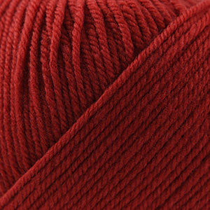 Cascade 220 Superwash - Deep - Gorgeous - Burnt Orange (Color #823) - Dye Lot 7K1362