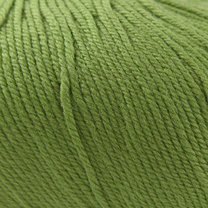 Cascade 220 Superwash - Moss (Color #841)