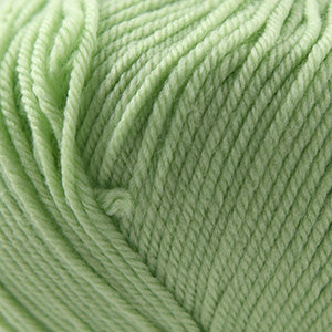 Cascade 220 Superwash - Lime Sherbert (Color #850) - Dye Lot 7L1234