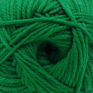 Cascade 220 Superwash Merino - Jolly Green (Color #113)
