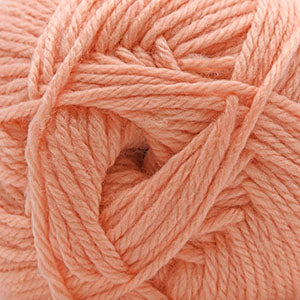 Cascade 220 Superwash Merino - Apricot Ice (Color #121)
