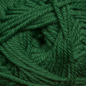 Cascade 220 Superwash Merino - Verdant Green (Color #16)
