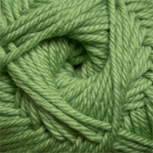 Cascade 220 Superwash Merino - Green Tea (Color #17)