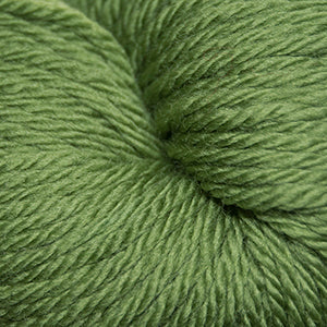 Cascade 220 Sport - Moss (Color #841) - Dye Lot SB21533