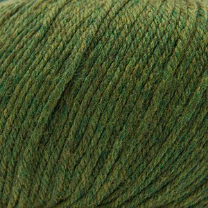Cascade 220 Superwash - Irelande (Color #376) - Dye Lot 7L1739