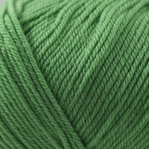 Cascade 220 Superwash - Peppermint (Color #226)