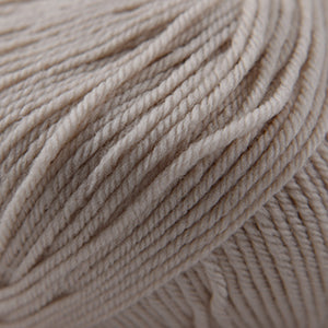 Cascade 220 Superwash - Frosted Almond (Color #228) Dye Lot 7K1325