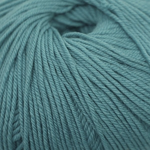 Cascade 220 Superwash - Blue Turquoise (Color #259)