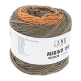 Lang Merino 150 Degrade - Autumn Haze (Color #06) - FULL BAG SALE (5 Skeins)