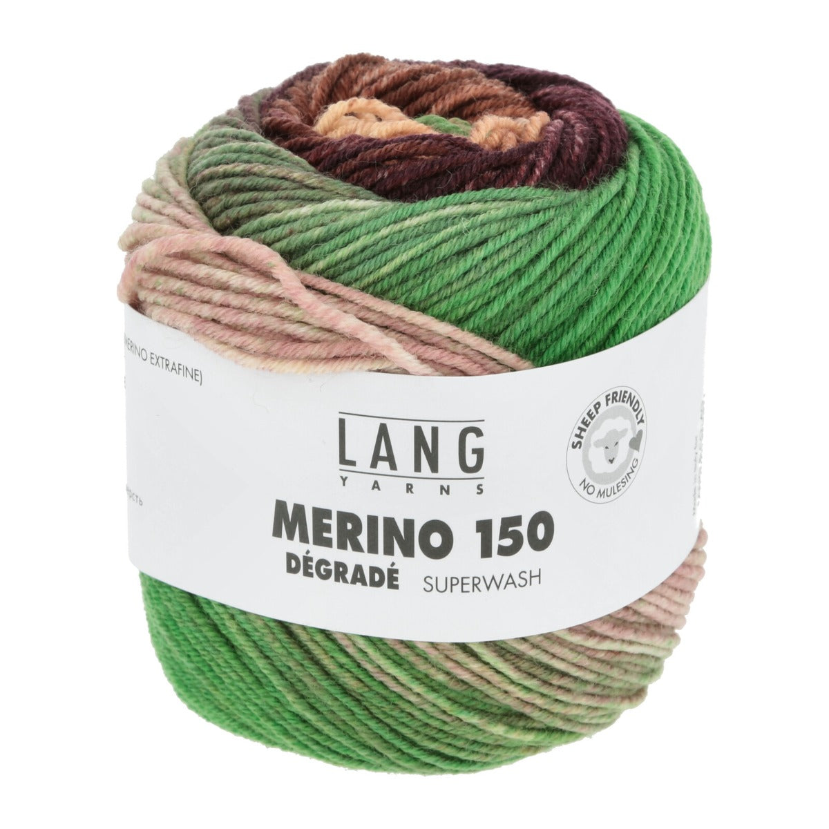 Lang Merino 150 Degrade - Olive Orchard (Color #12)