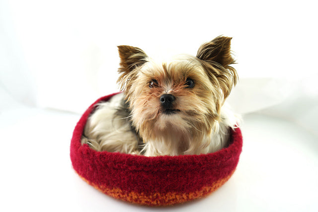 A FREE Cascade 220 Pattern - Bowl/Yorkie Bed (PDF) knitting pattern on sale at Little Knits