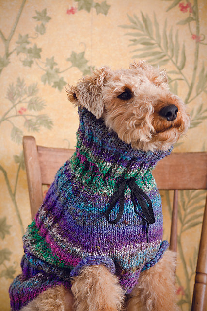 A Noro Kogarashi Pattern -  Dog Sweater (PDF)knitting pattern on sale at Little Knits