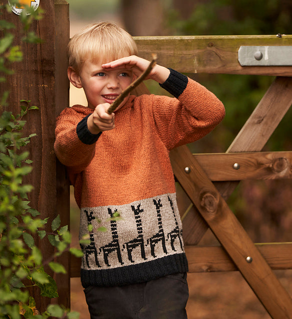 A Rowan Softyak DK Pattern - Giraffe Parade (PDF) knitting pattern on sale at Little Knits