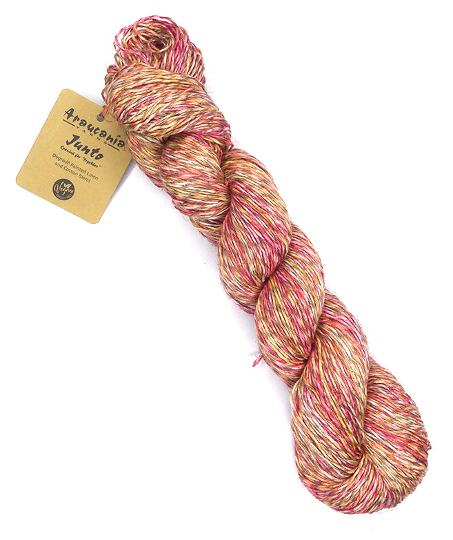 Araucania Junto - Sensible (Color #202)