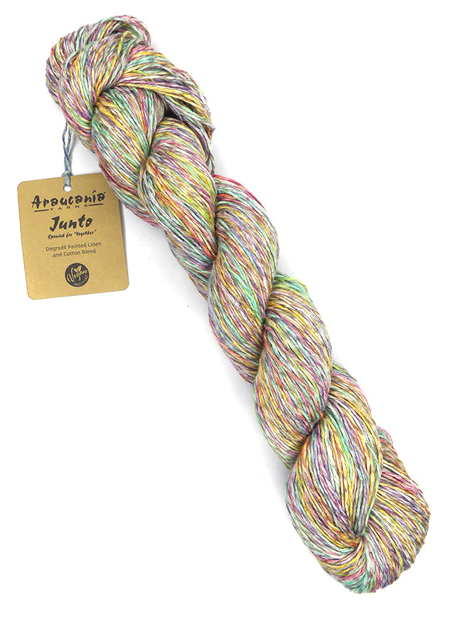 Araucania Junto - Harmony (Color #205)
