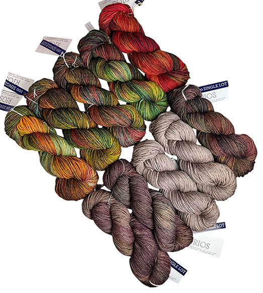 Malabrigo Rios One of a Kind - Columbia River Gorge Autumn (TEN SKEINS)