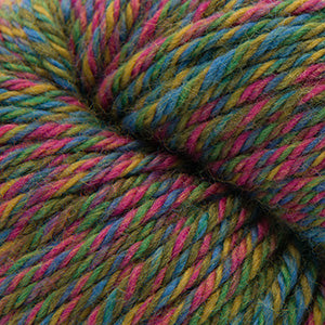 Cascade 220 Superwash ARAN Wave - Wildflower (Color #119)