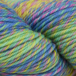 Cascade 220 Superwash Wave - Springtime (Color #120) - Skeins Will Look Different Due to the Dying Process Used for this Yarn (Copy)