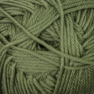 Cascade 220 Superwash Merino - Iguana (Color #58)