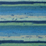 Berroco Comfort Print - Fiordland (Color #9827)