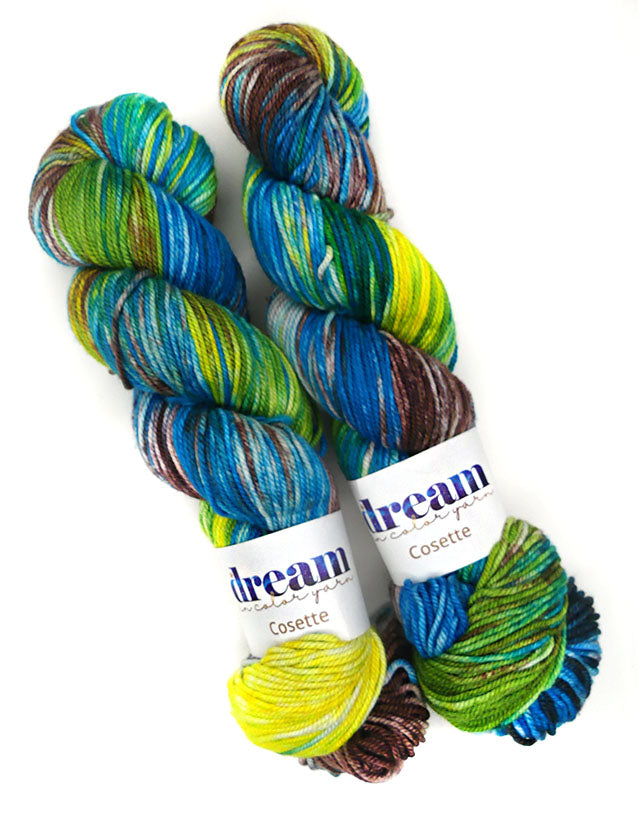 Dream in Color Cosette One of a Kind - Woodland Lagoon - Lot A (TWO SKEINS)