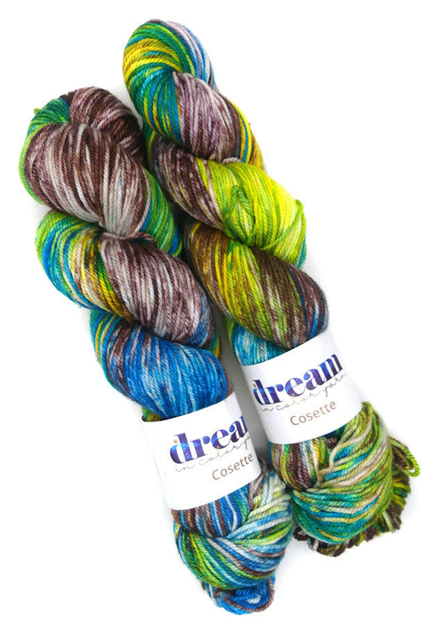 Dream in Color Cosette One of a Kind - Woodland Lagoon - Lot B (TWO SKEINS)