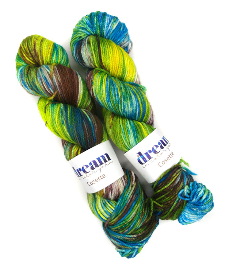 Dream in Color Cosette One of a Kind - Woodland Lagoon - Lot D (TWO SKEINS)