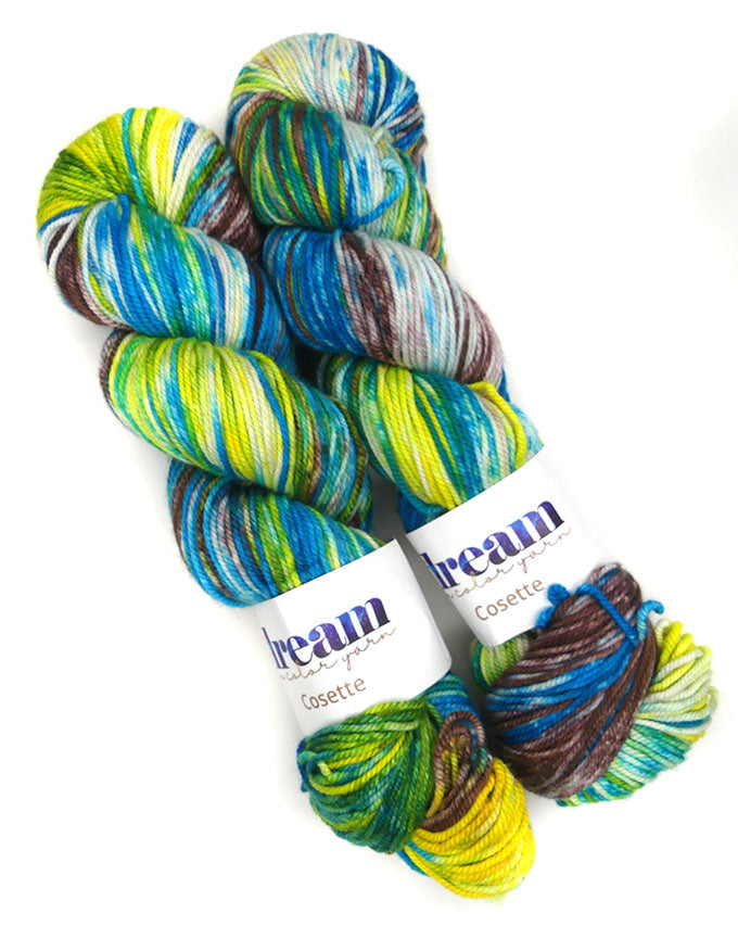 Dream in Color Cosette One of a Kind - Woodland Lagoon - Lot E (TWO SKEINS)