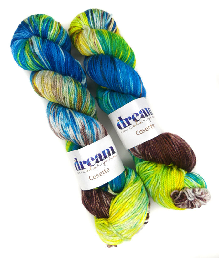 Dream in Color Cosette One of a Kind - Woodland Lagoon - Lot F (TWO SKEINS)