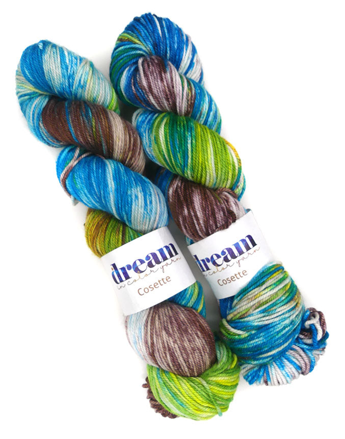 Dream in Color Cosette One of a Kind - Woodland Lagoon - Lot G (TWO SKEINS)