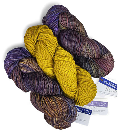 Malabrigo Rios One of a Kind - Cymbidium Orchid (THREE SKEINS)