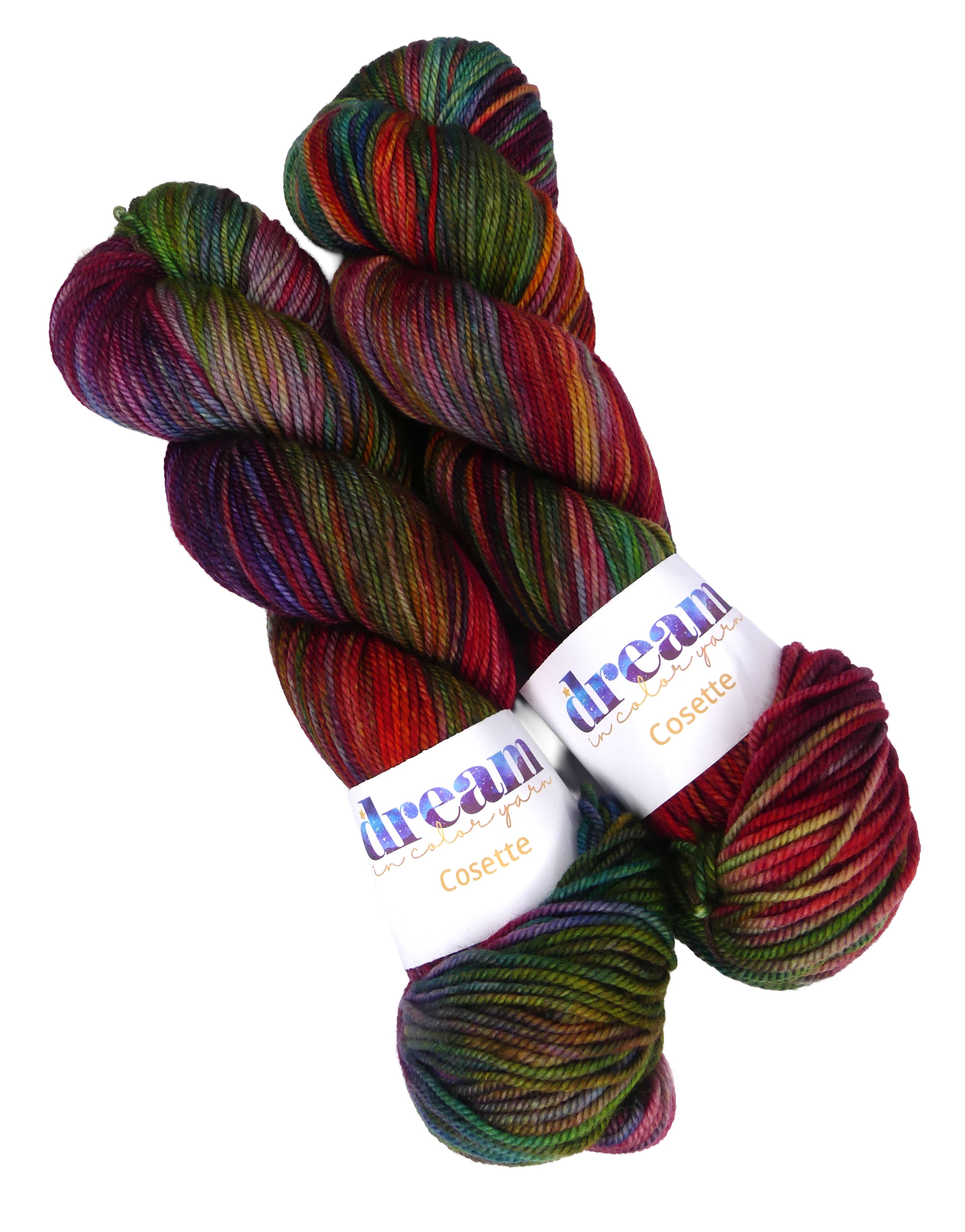 Dream in Color Cosette One of a Kind Color - Rainbow Room (TWO SKEINS)