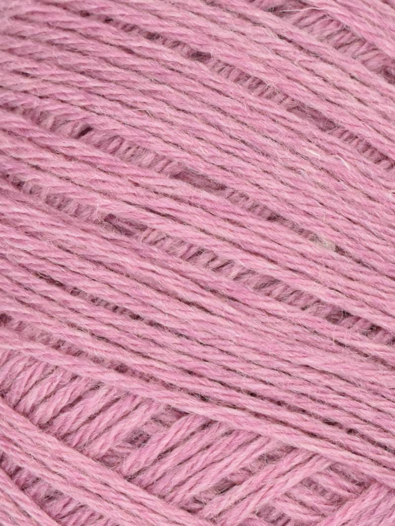 Queensland Adelaide - Cherry Blossom (Color #102)