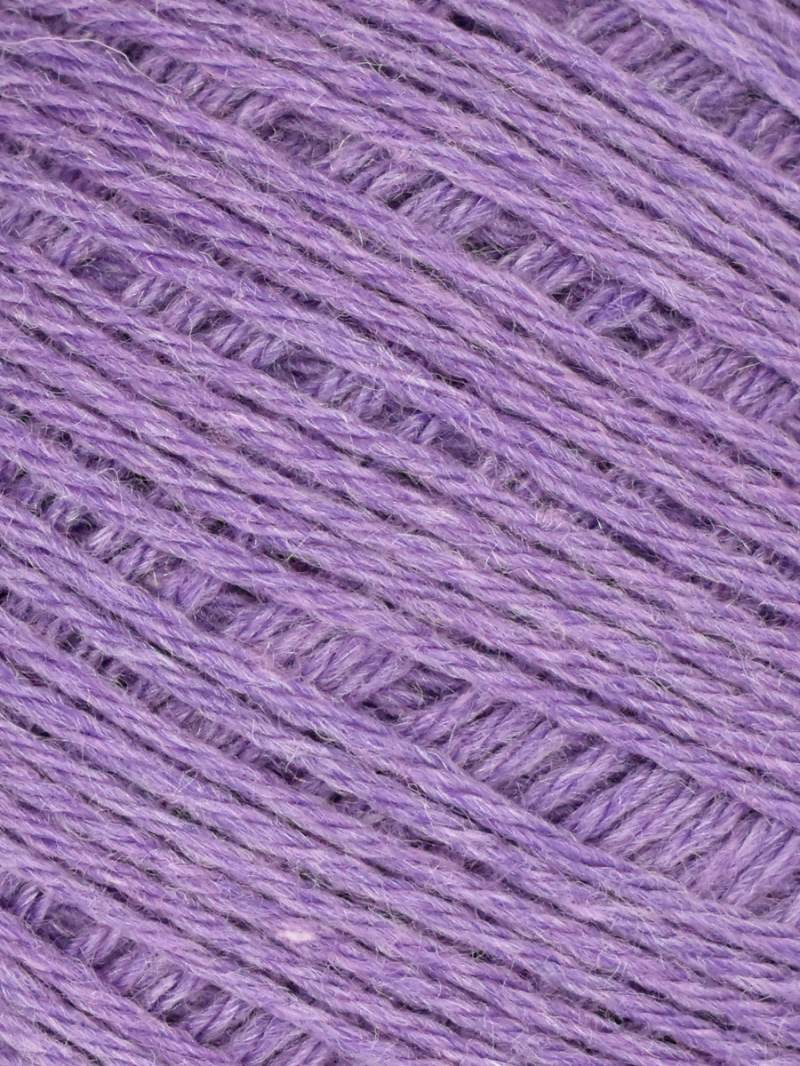 Queensland Adelaide - Jacaranda (Color #103)