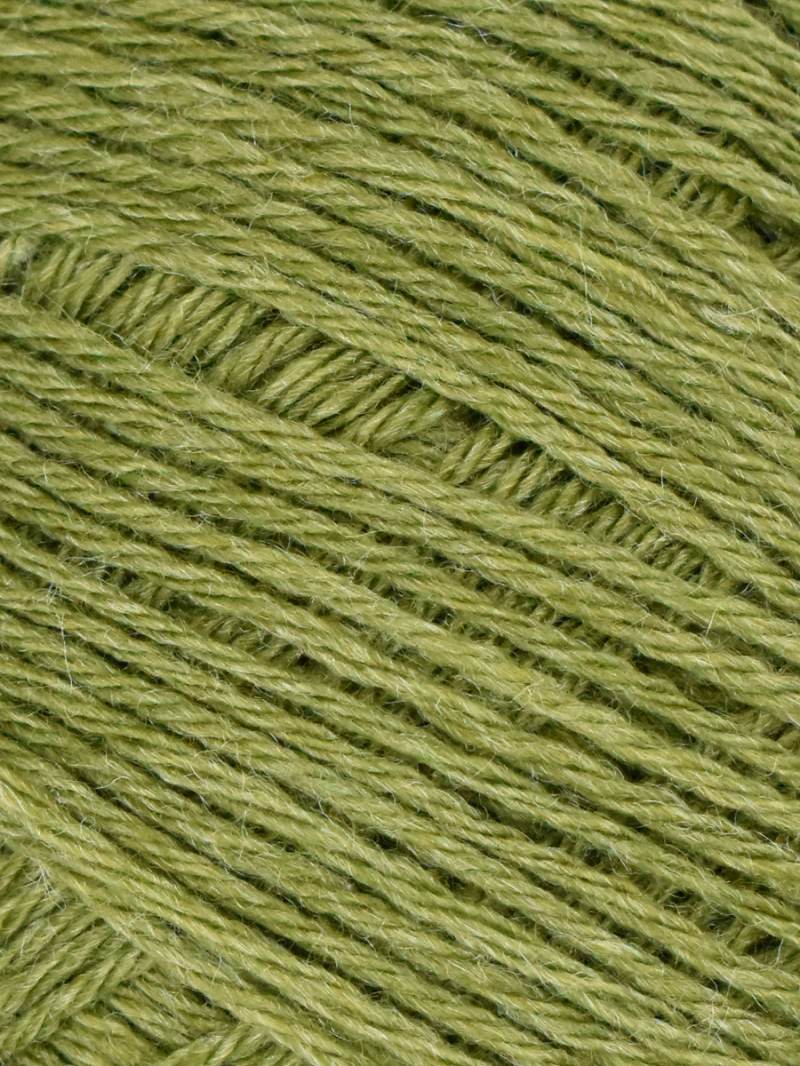 Queensland Adelaide - Moss (Color #106)
