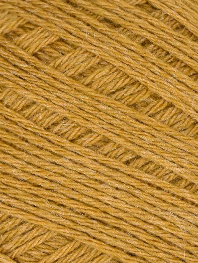 Queensland Adelaide - Goldenrod (Color #107)