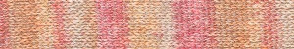 Araucania Junto - Sensible (Color #202)