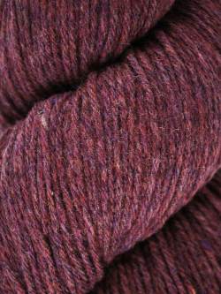 Queensland Tenderfoot - Brandywine (Color 116)