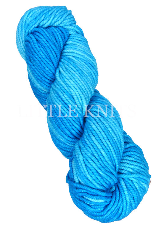 Araucania Huasco Chunky Kettle Dyes - Caribbean (Color #3008) knitting and crochet yarn on sale at little knits
